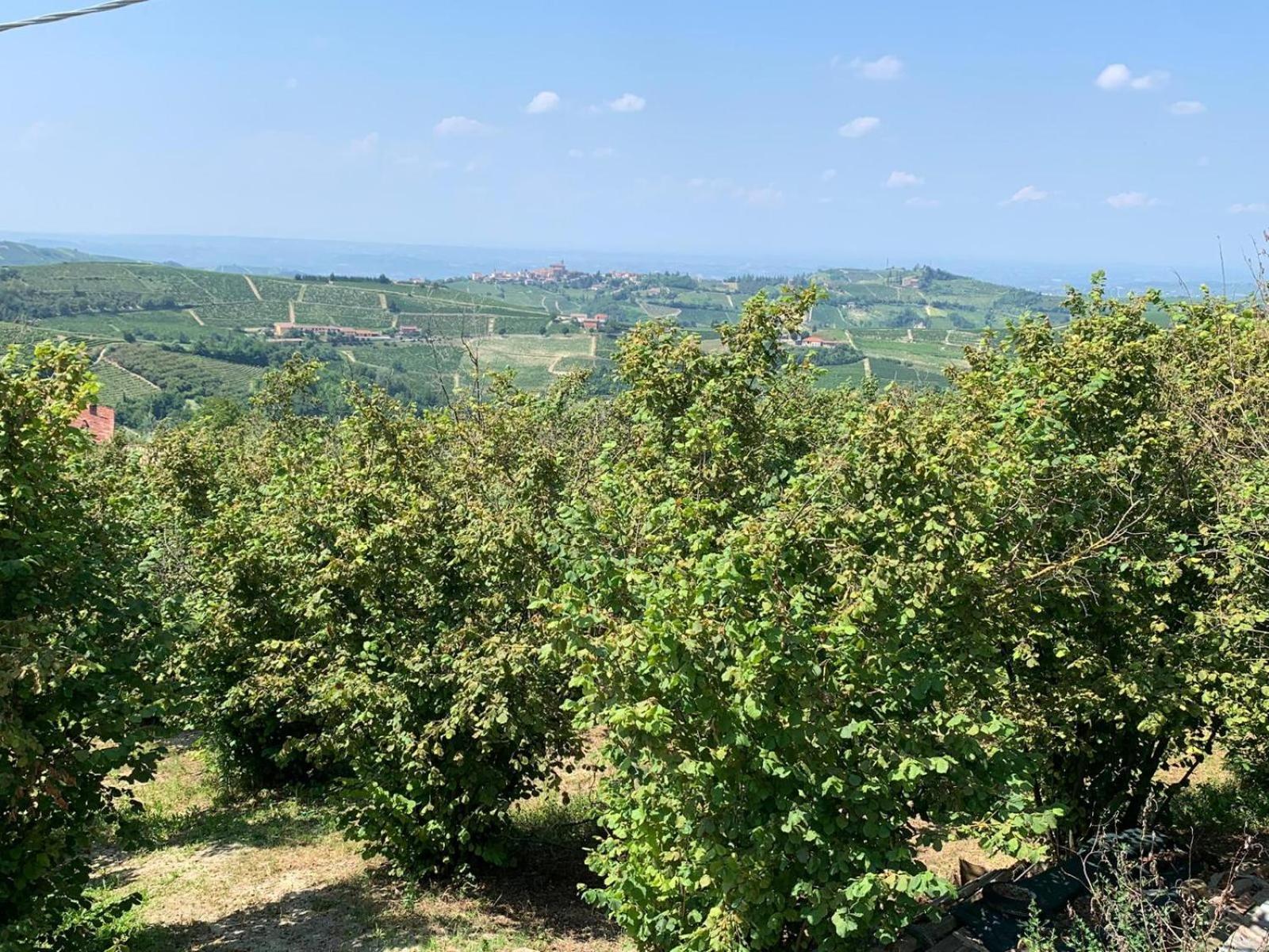 Agriturismo Cascina Anri Mango ภายนอก รูปภาพ