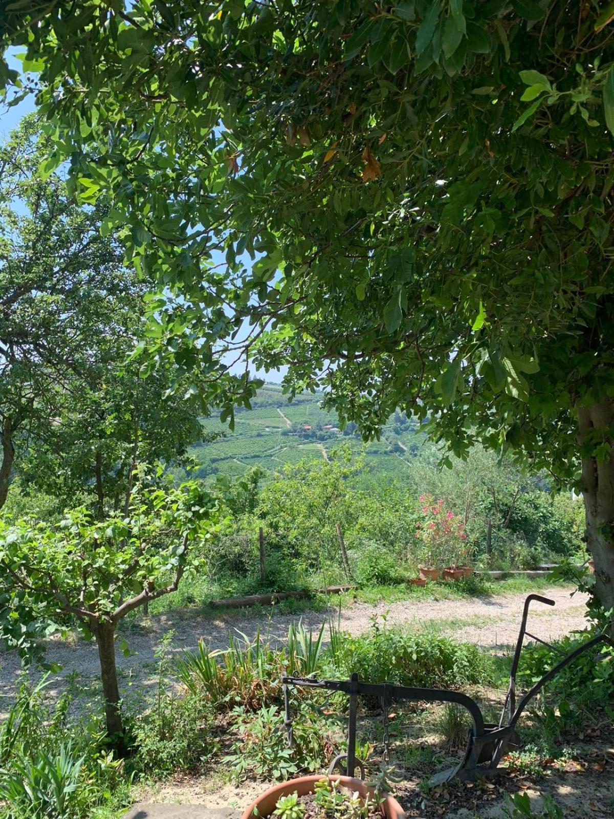 Agriturismo Cascina Anri Mango ภายนอก รูปภาพ