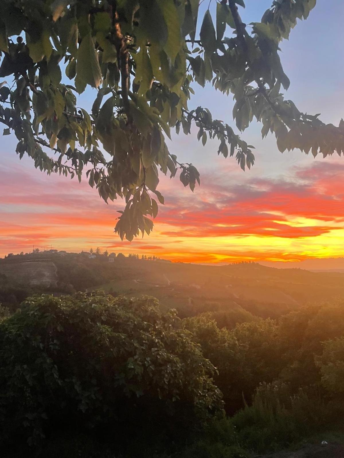 Agriturismo Cascina Anri Mango ภายนอก รูปภาพ
